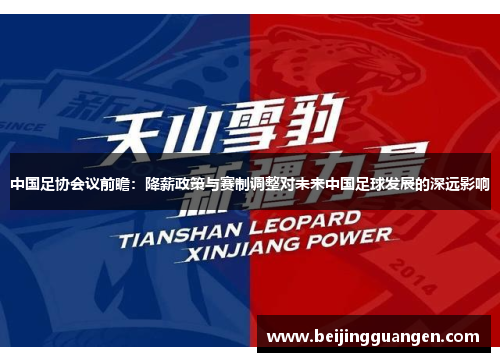 中国足协会议前瞻：降薪政策与赛制调整对未来中国足球发展的深远影响