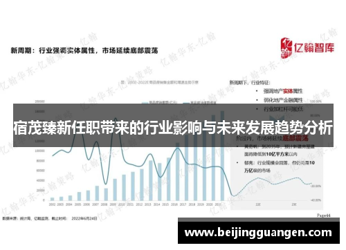宿茂臻新任职带来的行业影响与未来发展趋势分析
