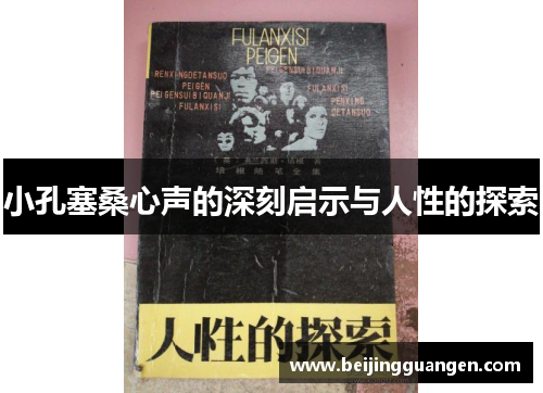 小孔塞桑心声的深刻启示与人性的探索