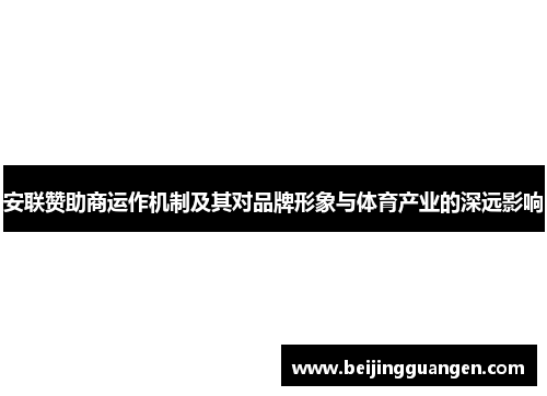 安联赞助商运作机制及其对品牌形象与体育产业的深远影响 安联赞助商运作机制及其对品牌形象与体育产业的深远影响