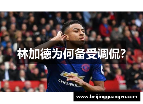 林加德为何备受调侃？