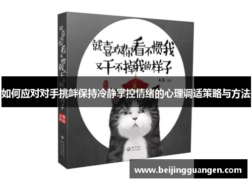 如何应对对手挑衅保持冷静掌控情绪的心理调适策略与方法