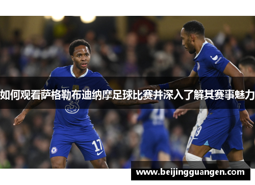 如何观看萨格勒布迪纳摩足球比赛并深入了解其赛事魅力 如何观看萨格勒布迪纳摩足球比赛并深入了解其赛事魅力